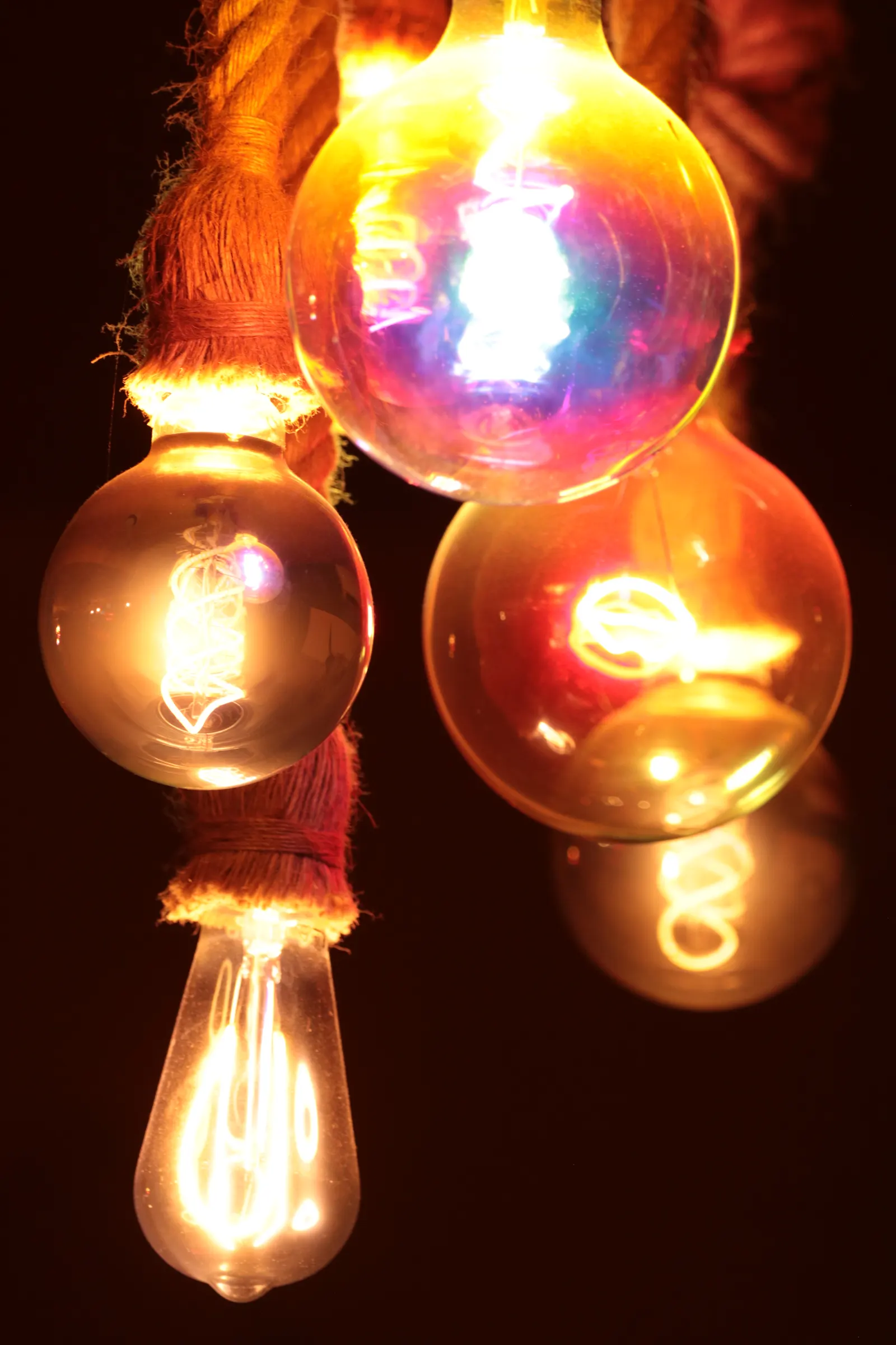Vintage light bulbs hanging from ropes in the club